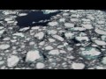 Time To Attack! - New Series Sneak Peek - Whale Wars Ep2