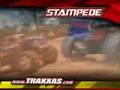 Velineon VXL Traxxas Stampede compilation