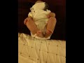 Sofija sock on her face