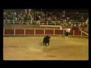 Recortadores