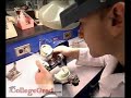 Dental Laboratory Technicians Dental Laboratory Technicians