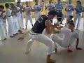 Fundação Internacional Capoeira Artes das Gerais