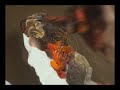 Flamenco - Christine Mac Shane-Henry