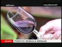 Trasacco (AQ) Novello e Novellae