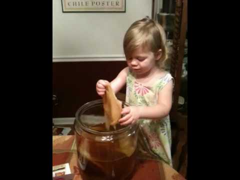 how to harvest kombucha