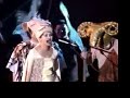 NEMEC - The Lion King (Part 1)
