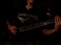 Pantera