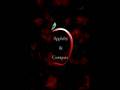 Appleby Logo Fire and Brimstone