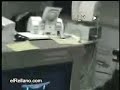 videos de risa enojado con la computadora