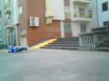inline bruno inline bruno