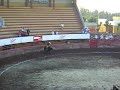 jineteo de toro de charros rancho el jaralito
