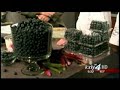 Cooking with blueberries: Wild Sage American Bistro, Part 1 Cooking with blueberries: Wild Sage American Bistro, Part 1