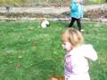 videos de 100 2171