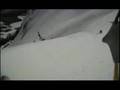 Powder Mountain Catskiing Staff Day