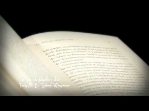 Vid�o de Tariq Ali