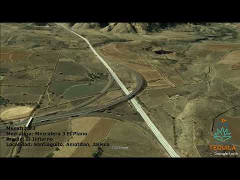 Muestra 3 - Mezcalera 2 El Plano, El Infierno, Santiaguito, Amatitan, Jalisco