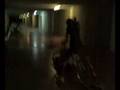 videos de bruno prega