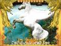 videos de Warrior WarLord King - YSHY The Warrior of the Lord