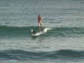 Lani the paddledog
