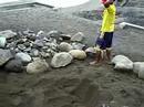 Bali Rock Break