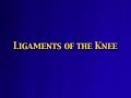 knee anatomy video tour
