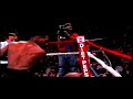 Os 50 maiores knockout do boxe