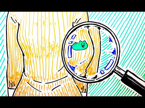 動画