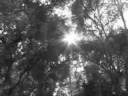 Film Studies Film 1 (untitled) Film Studies Film 1 (untitled)