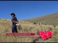 Rosalinda de Pamparca Ayacucho