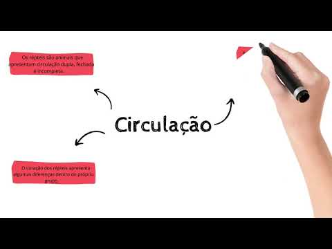 Circulação dos Répteis