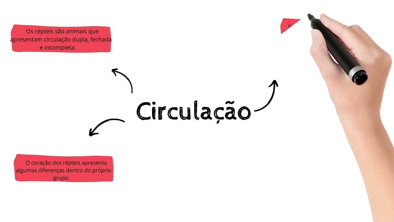 Circulação dos Répteis
