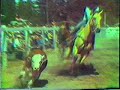 Luxton Rodeo Victoria Canada Vintage 1982