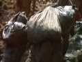 videos de powaqqatsi