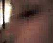 videos de 