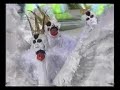 Comiss�o de Frente -- Imperatriz Leopoldinense 2005