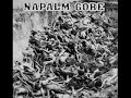 Napalm Gore - Girl Problems (S.O.A. Cover) Napalm Gore - Girl Problems (S.O.A. Cover)