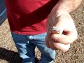 Metal Detecting MVLTS ( Ringing In The New Year ) Metal Detecting MVLTS ( Ringing In The New Year )