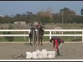 Blinkbonnie Equestrian Centre Holiday Program