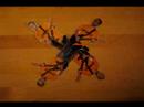 tandemoro promo made by nathan punwar. song is 