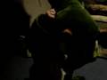 beware my brother the crocadial