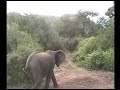 Tanzania Manyara lake (KTZ-14) 2de3