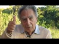 Piero De Bernardi: "Come nacque 'Amici miei ...