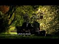 Collection of Sony Cybershot Ads 'You are What You Shoot'