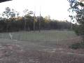 Deer on power line Nov 22 2008.wmv