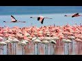 Love-Dragoste-Viata-