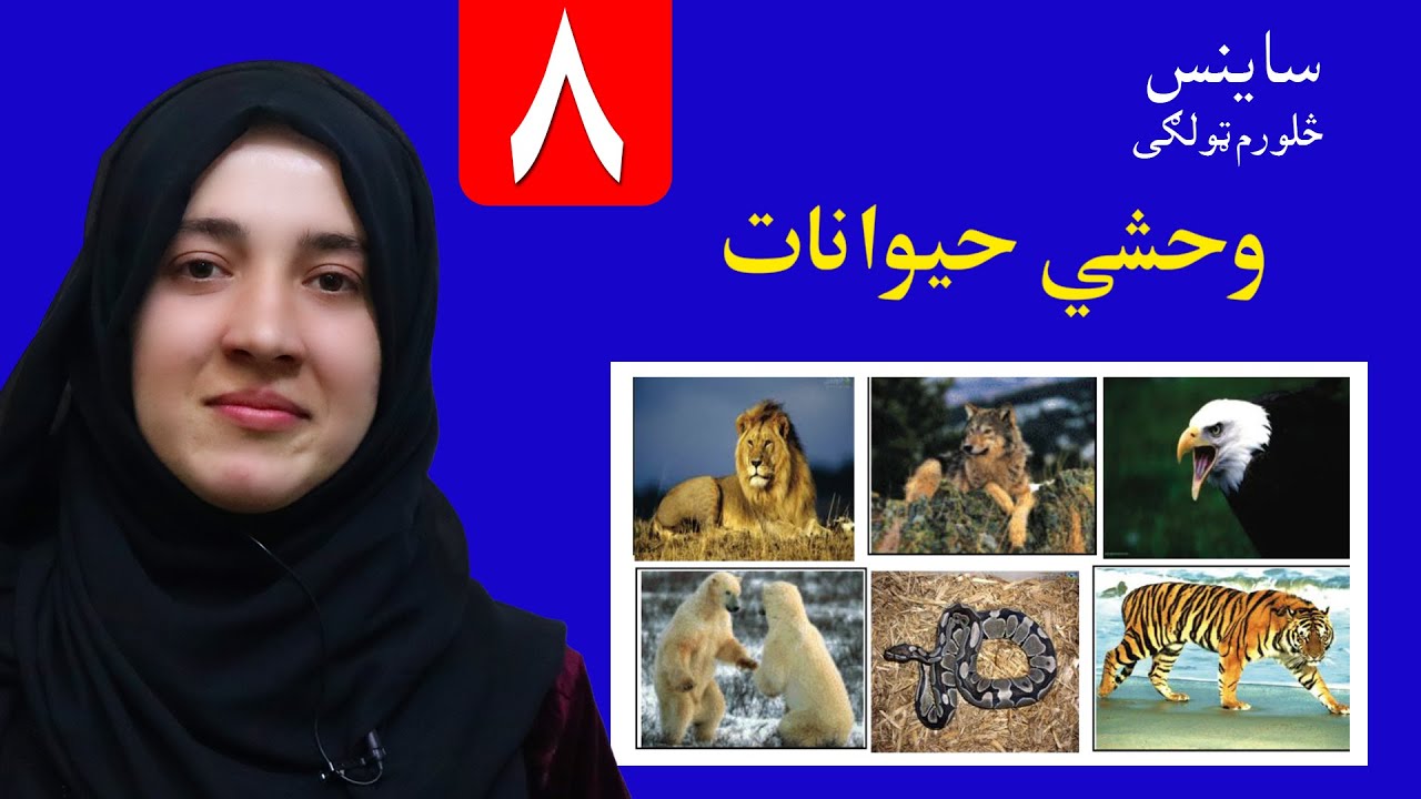 LESSON 8 _ Grade 4 SCIENCE / اتم لوست ـ د ساینس مضمون ـ څلورم ټولګی