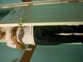 videos de Extravegant Salad