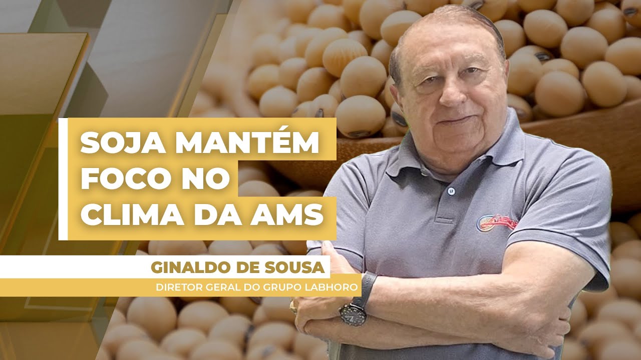 Chicago devolvendo parte dos ganhos, dólar com forte queda e prêmios sentindo pressionam mercado