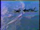 Salto de Queda Livre Militares da BETP - Relativo de Calote.mpg-.mpg
