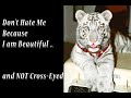 Diary of a White Tigress